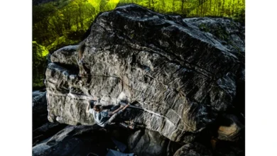 CLIMAX41 websitec cover
