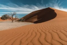 Namibia Reise mit deuter