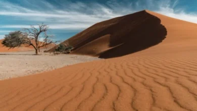 Namibia Reise mit deuter