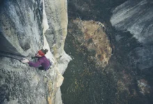 Babsi Zangerl Free Rider