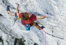 Seb Bouin in Wolf Kingdom