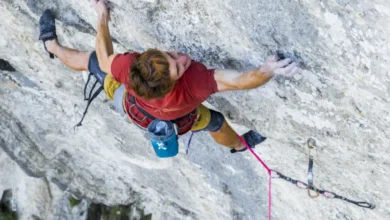 Seb Bouin in Wolf Kingdom