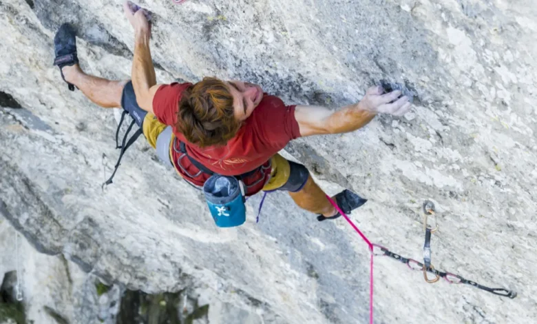 Seb Bouin in Wolf Kingdom