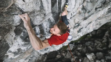 231 BIG cAlpsolutPictures 1 1536x1025 1