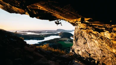 231 BIG cAlpsolutPictures 3