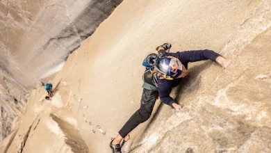 sasha digiulian platinum wall