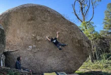 WILLBOSI PORDESOL TERESA COIMBRA