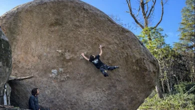 WILLBOSI PORDESOL TERESA COIMBRA