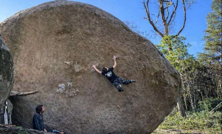 WILLBOSI PORDESOL TERESA COIMBRA