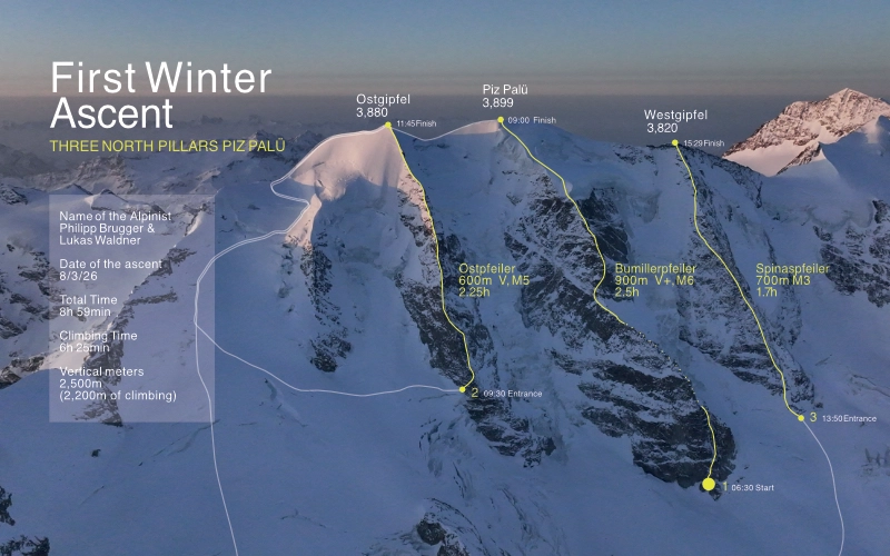 Infographic Piz Palü