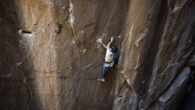 jacopo larcher in bon voyage