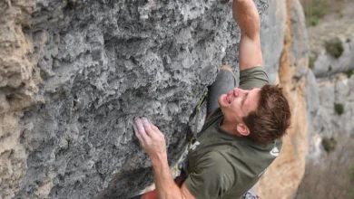 seb bouin le champs des muses